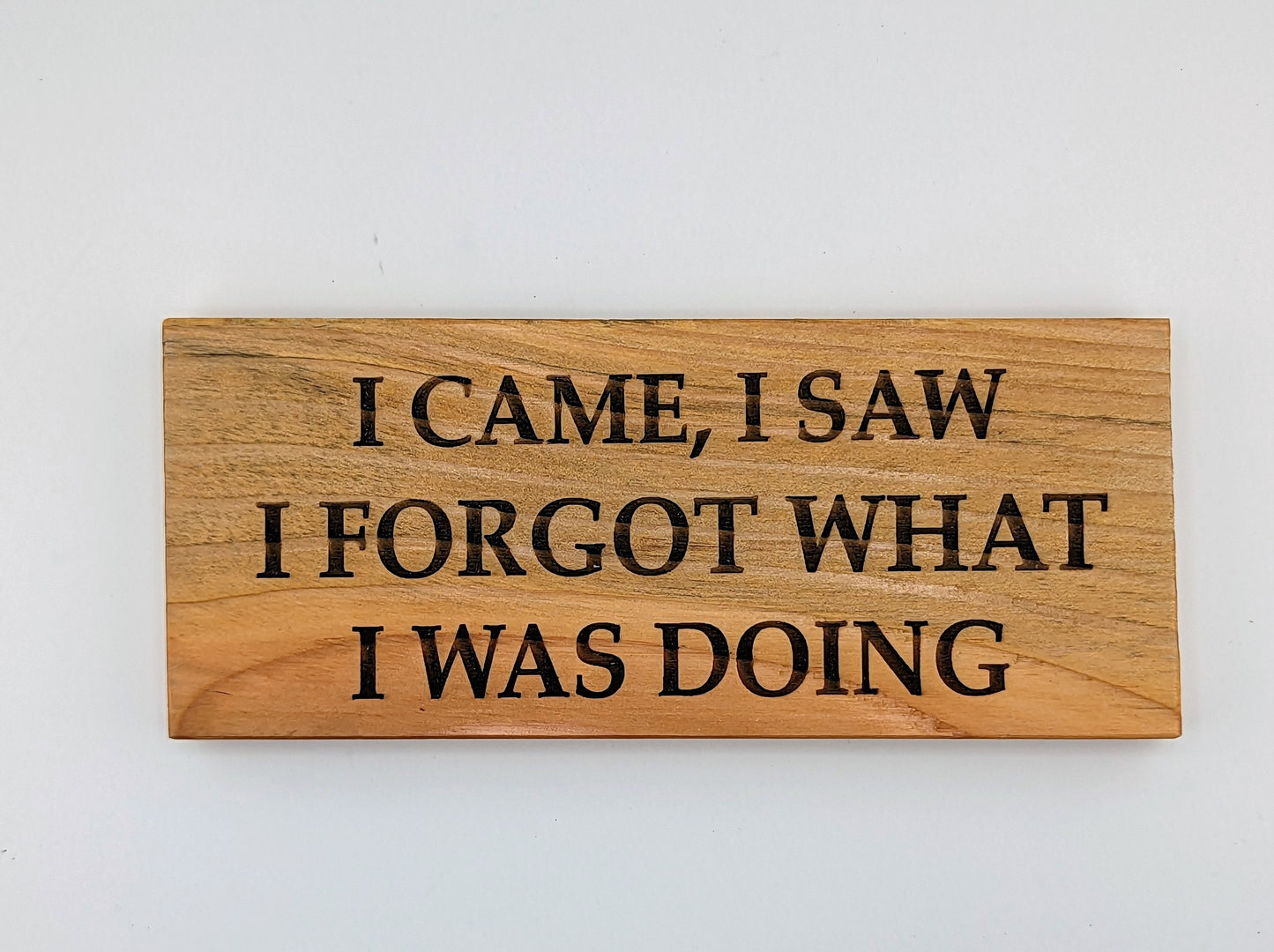 I came I saw I forgot what i was doing, recycled wood pallet sign